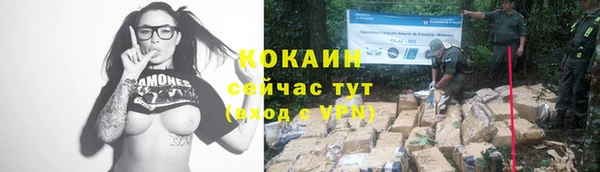 кокаин премиум Беломорск