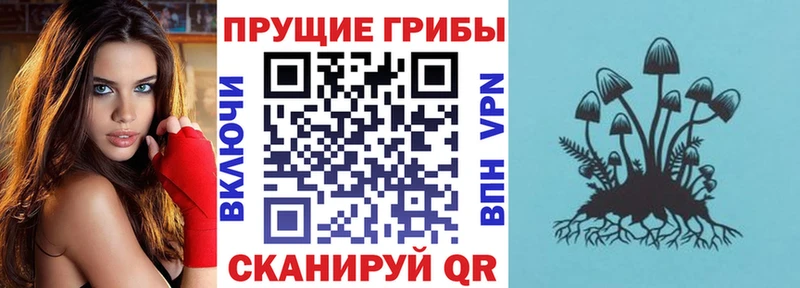 Псилоцибиновые грибы Magic Shrooms  Ершов 